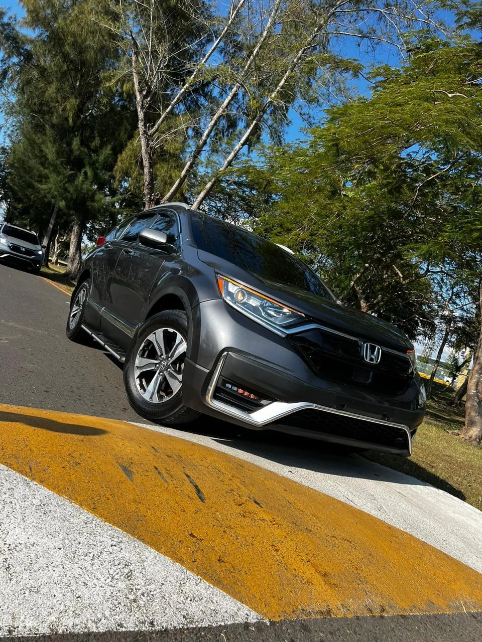 Fotografía 3